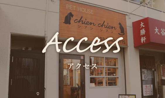 アクセス