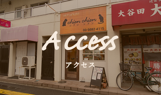 アクセス